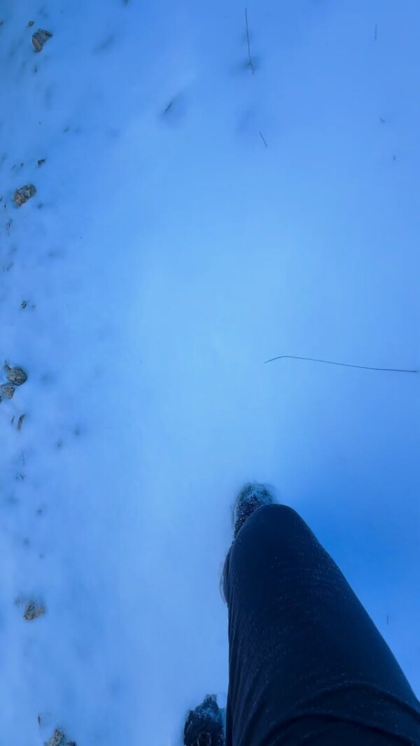 Another dayout in the mountain with snow ❤️. #hikemore #hikelife #hikingadventure #nature 